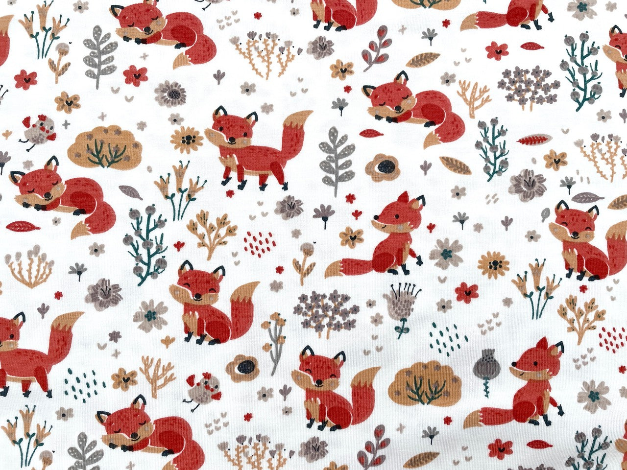 Jersey "Foxi"