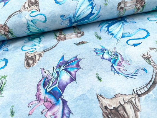 Premium Digitaldruck Jersey "Drachen"