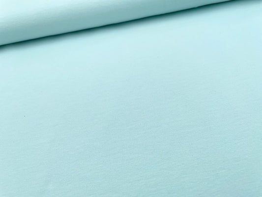 Premium Jersey Bio Baumwolle Eisblau (640)
