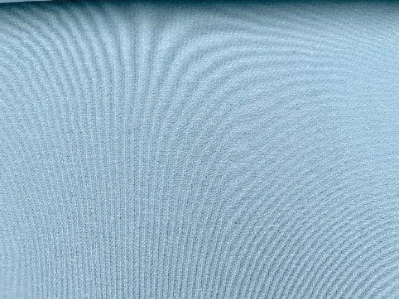 Premium Kuschel Sweat Bio Baumwolle Frost (625)